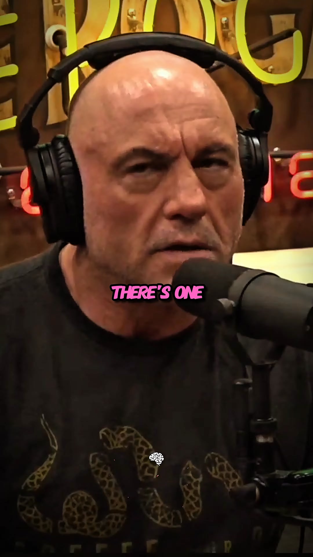 Joe Rogan On Wolves | The Joe Rogan Experience Fans | Facebook