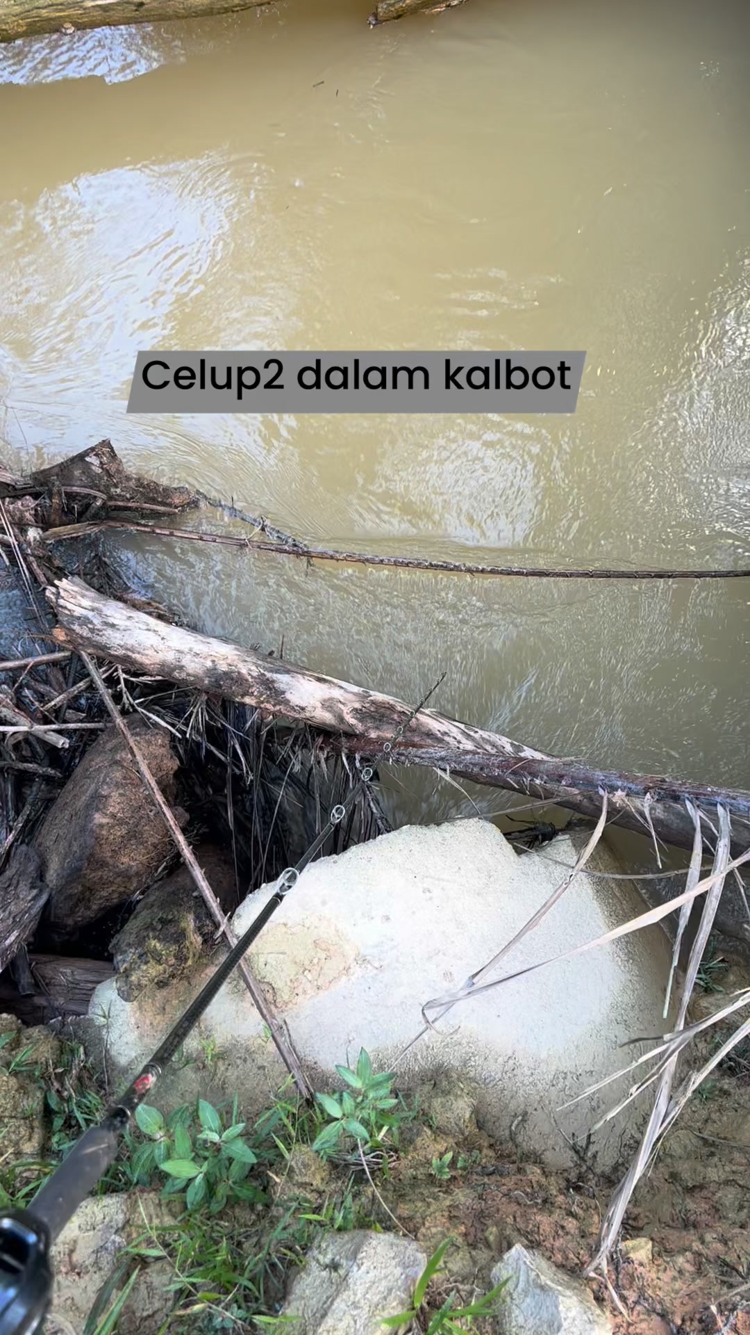 Celup2 dalam kalbot #fypシviralシ2025 #fypreelsシ゚viralシ #fyp | Faris ...
