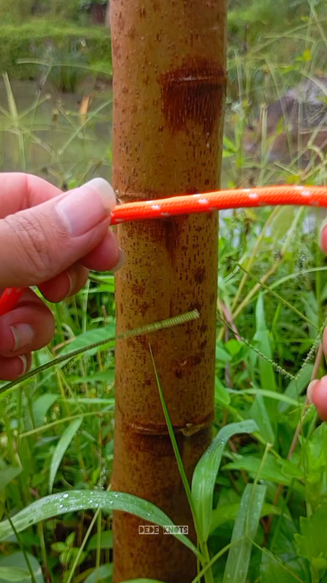 two turns of a simple bowline knot #tutorials #knot #rope #diy #hiking ...
