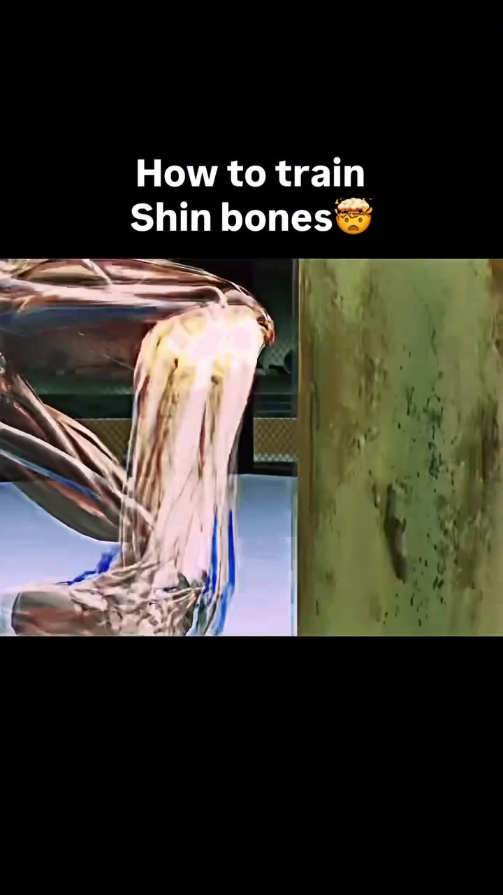 No problem! Here's the information about The shin bones: Shin bone ...