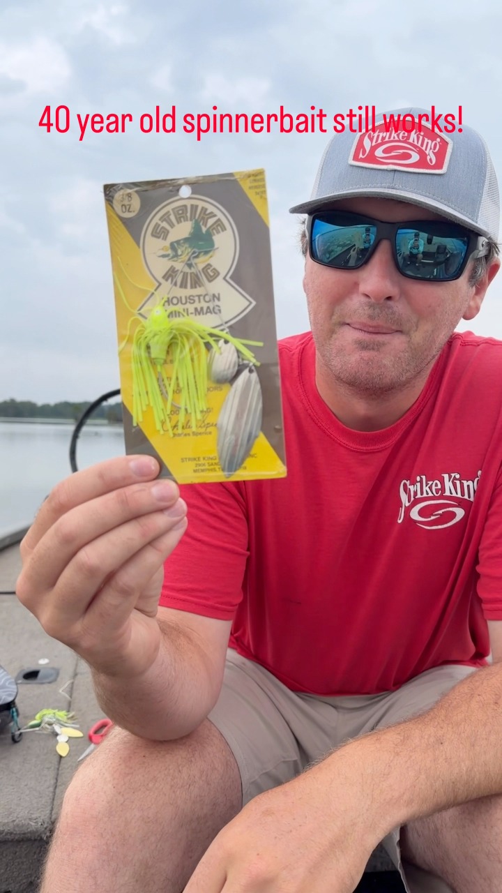 best hooks for shark fishing Epic Hook | Circle | 16/0 to 20/0 Texas Rig Kit Sold individually. Spinning Rod Best Baitcasting Style:BG4000