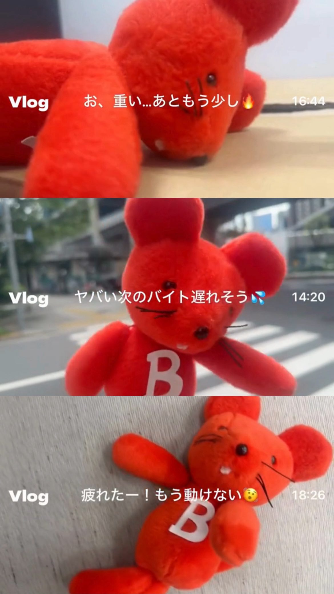 当時のメディア報道・掲載写真
