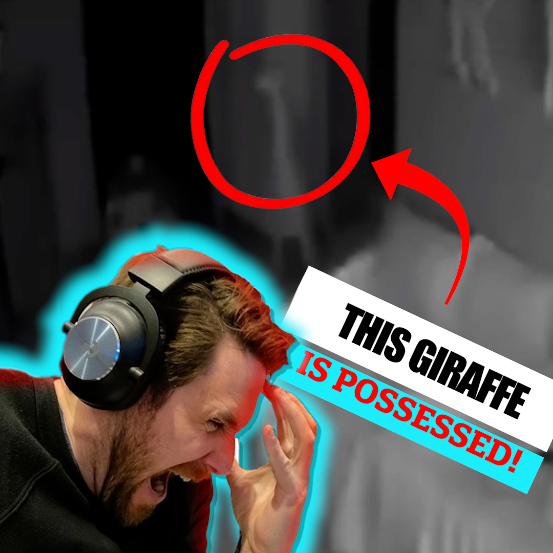 Get ready for the freaky deaky - These videos are going to keep you up ...