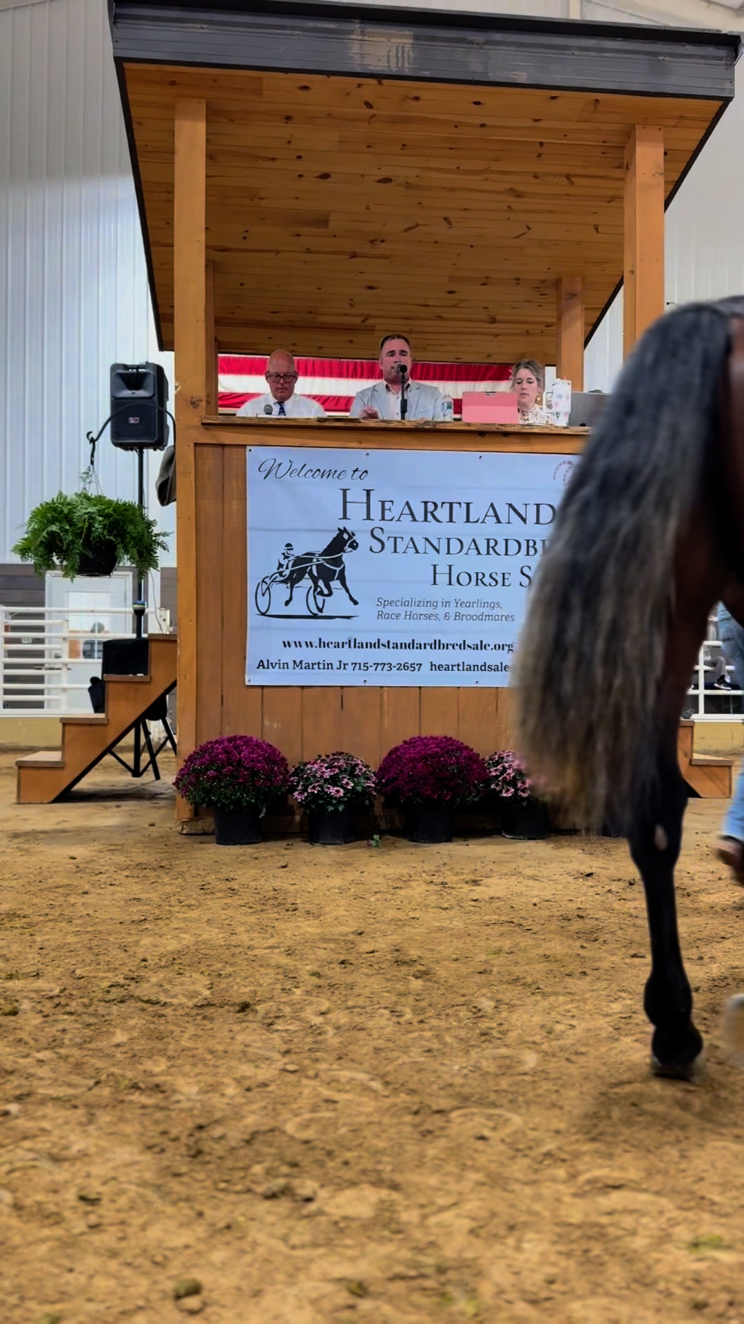 Kudos to the breeders and consignors! 👏🏼 The quality of mares being ...