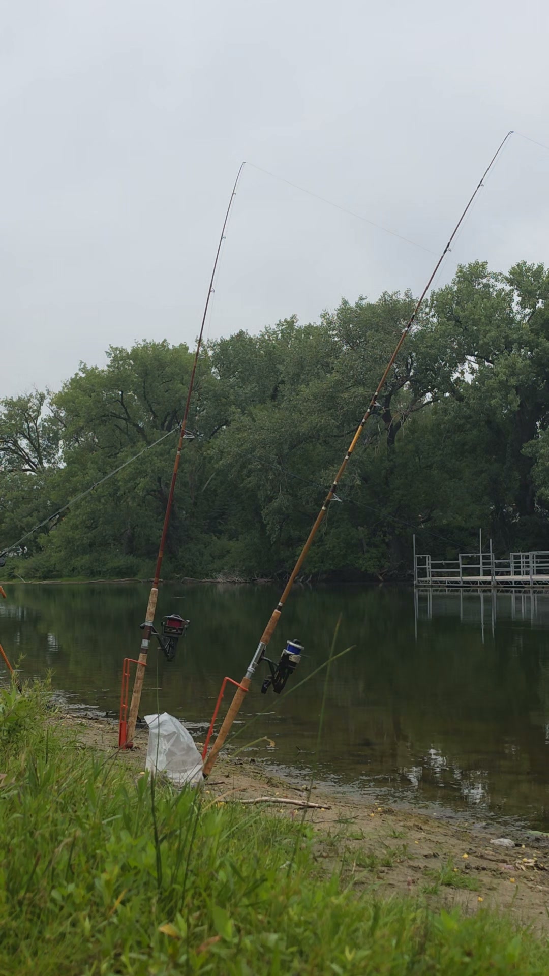 colton fishing reels Terrapin Series Fly Colton Torrent Reels | Salt