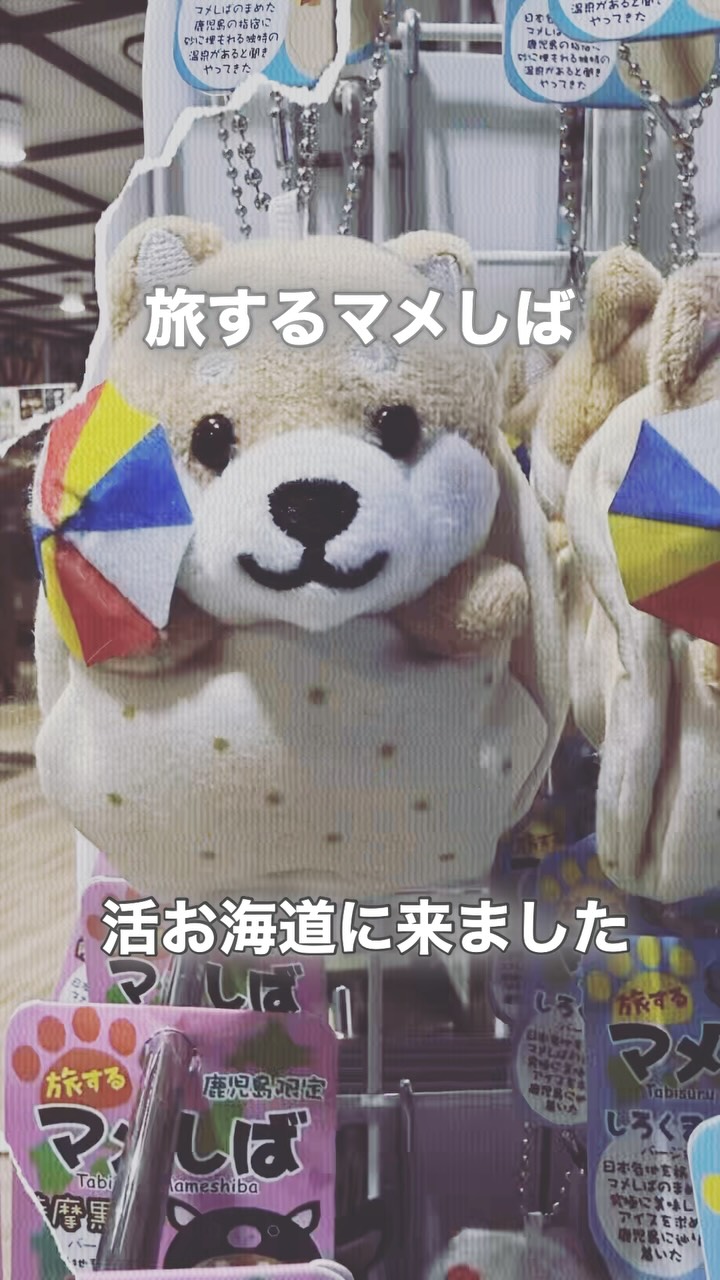 お待たせしました！ ご要望の多かった鹿児島限定『ご当地モンチッチ