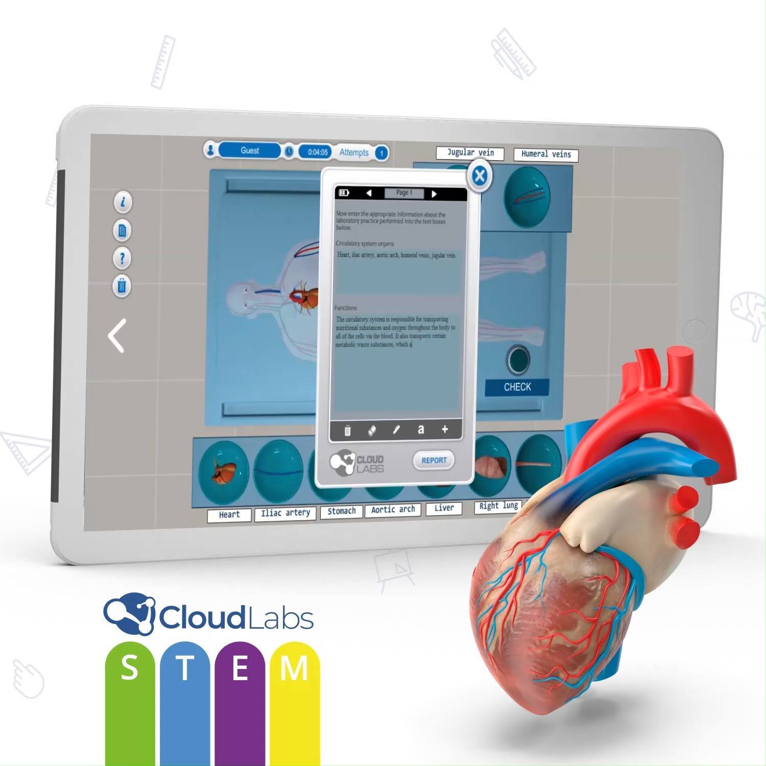 CloudLabs STEM - Human body simulator / Simulador del cuerpo humano
