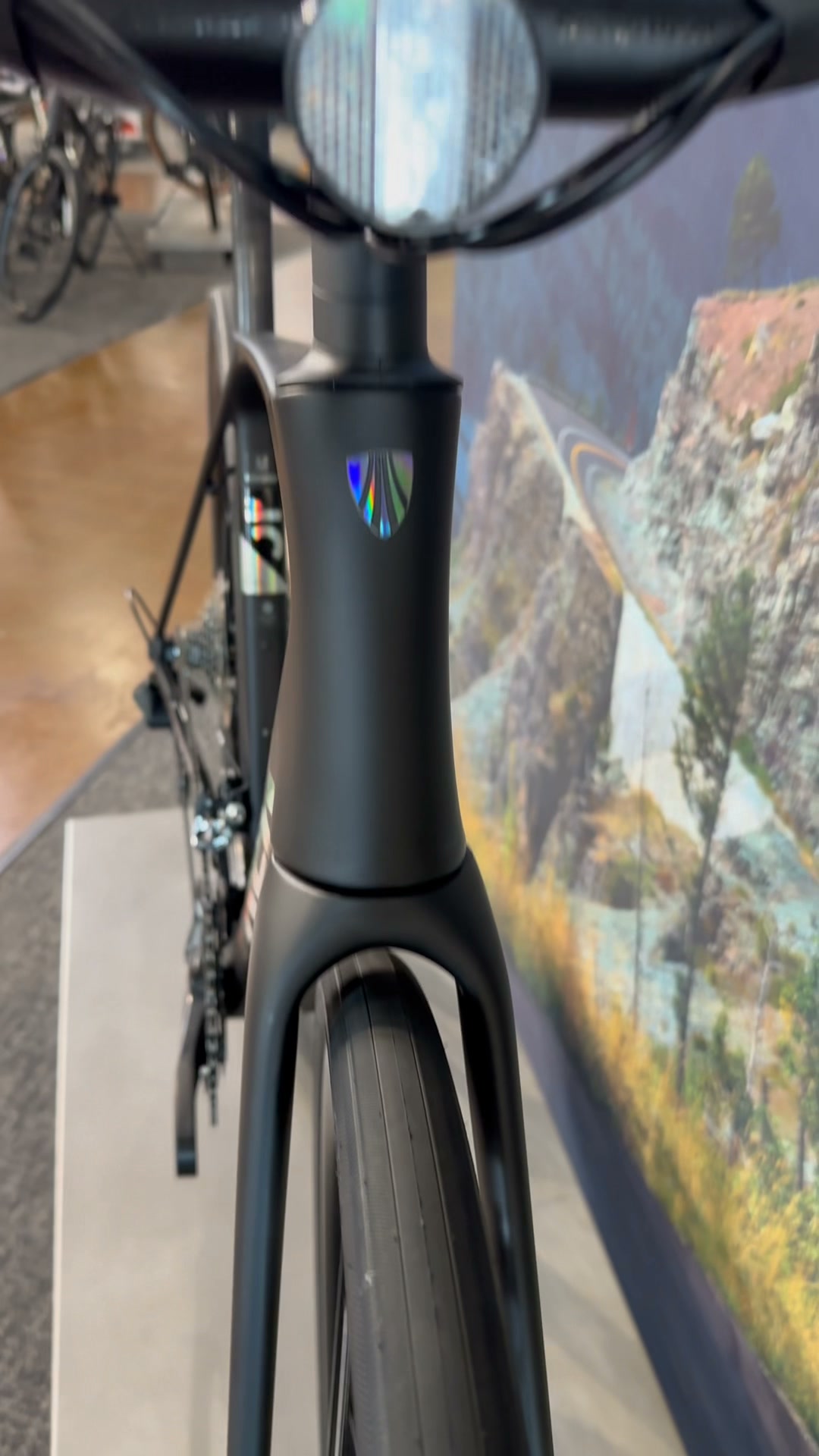 eco bike electric bicycle Fiido C11 City E-Bike Available Colors:Honey The folding electric bike klav-oos The Best Hiking and