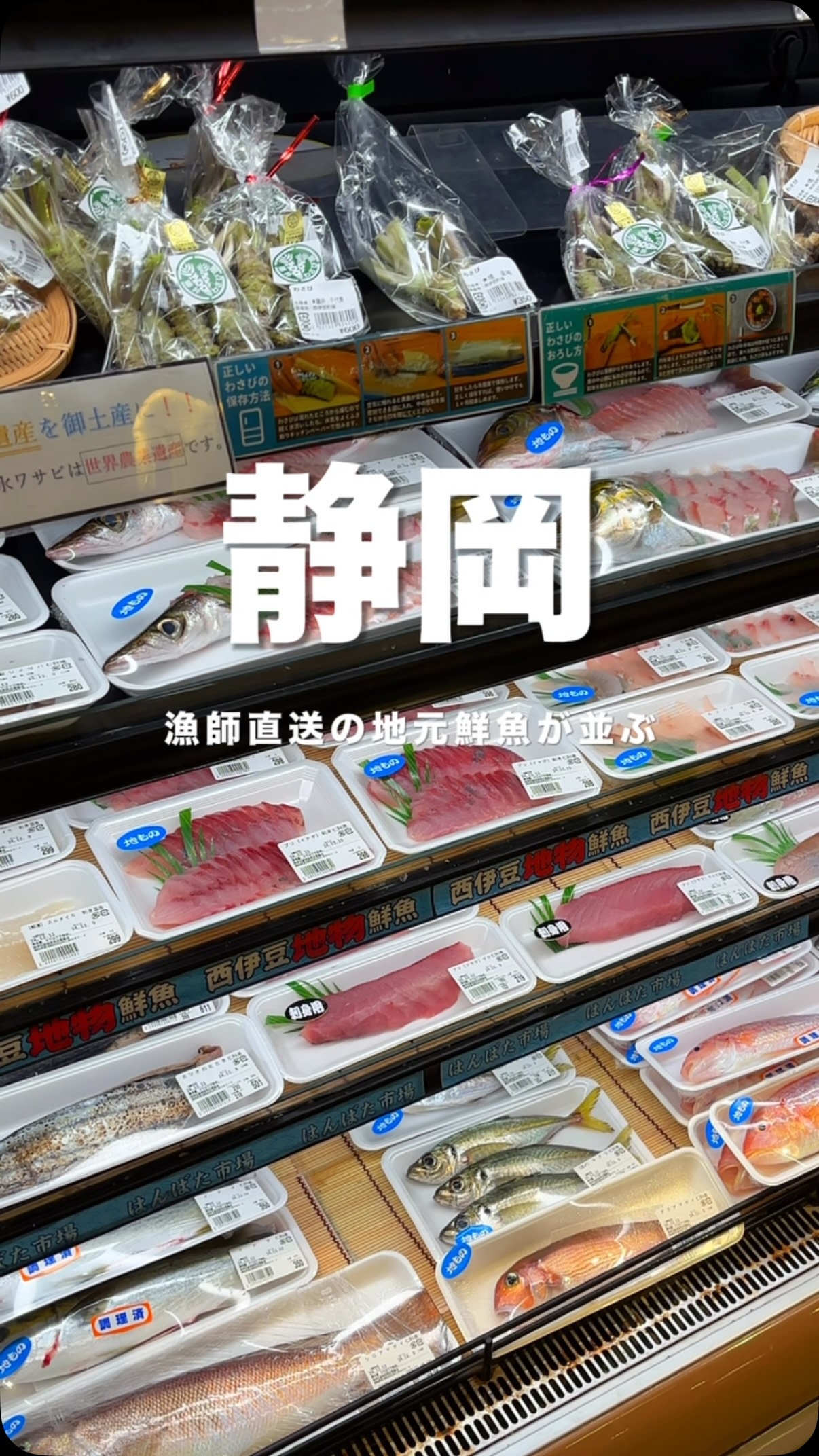 伊豆・iZu