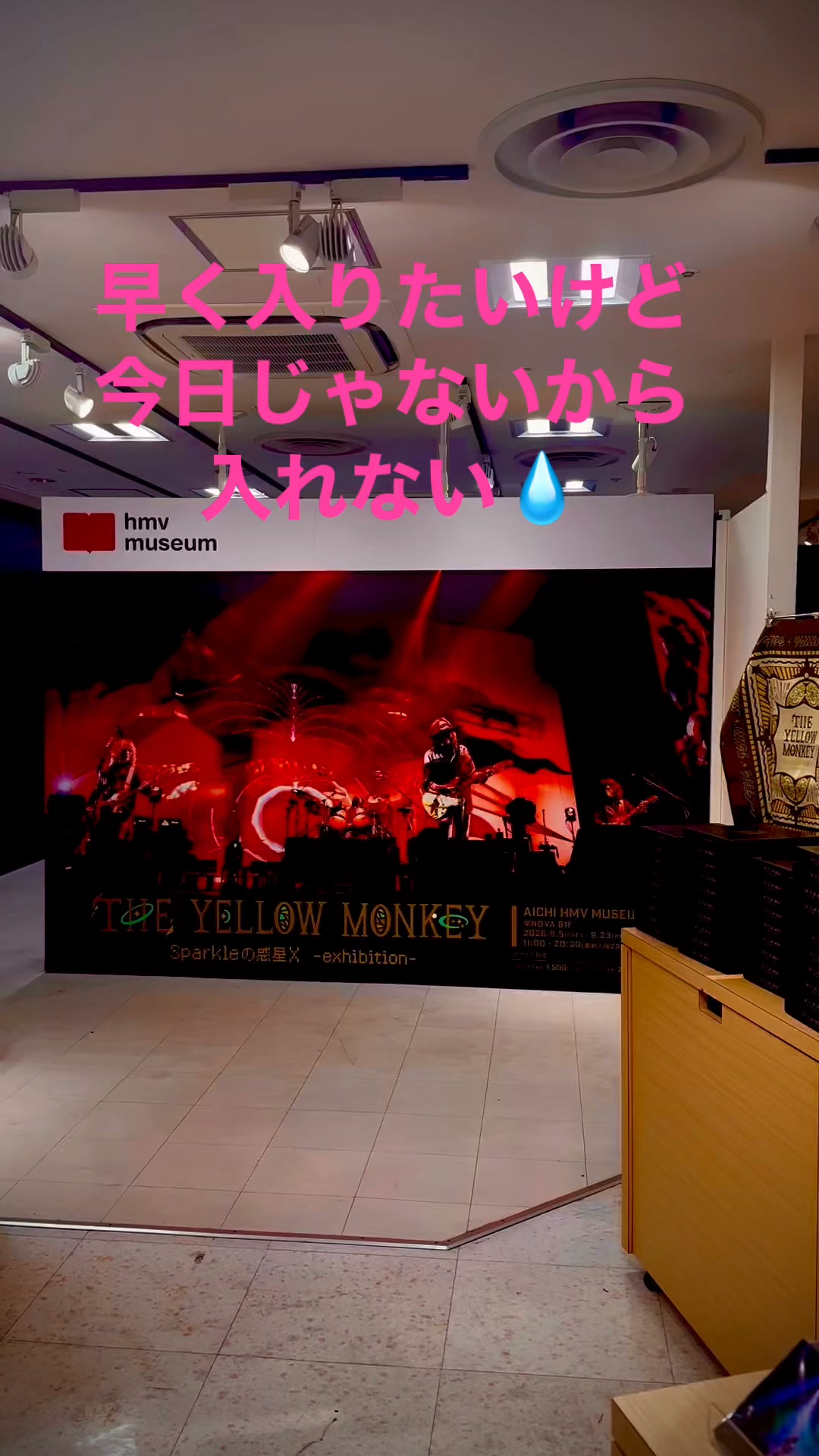 THE YELLOW MONKEY/イエローモンキー イエモン/TYM IS ON MY SIDE