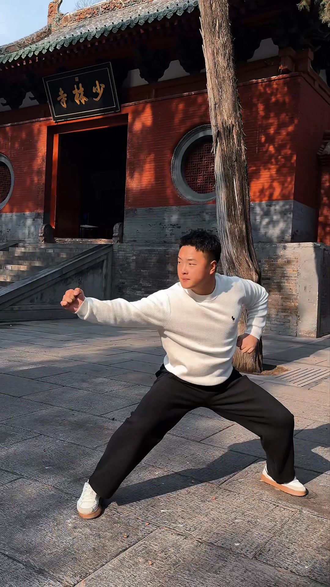 心中无念，拳法自然。#八极拳 #百young非遗计划 #一见爱上传统文化 #非遗守护人 #青年创作者成长计划 | 问武 | Facebook