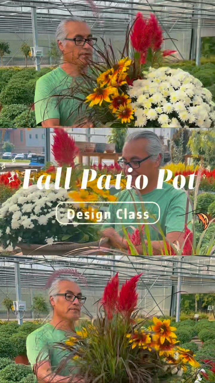 VanderSalm's Flower Shop and Garden Center | Kalamazoo MI
