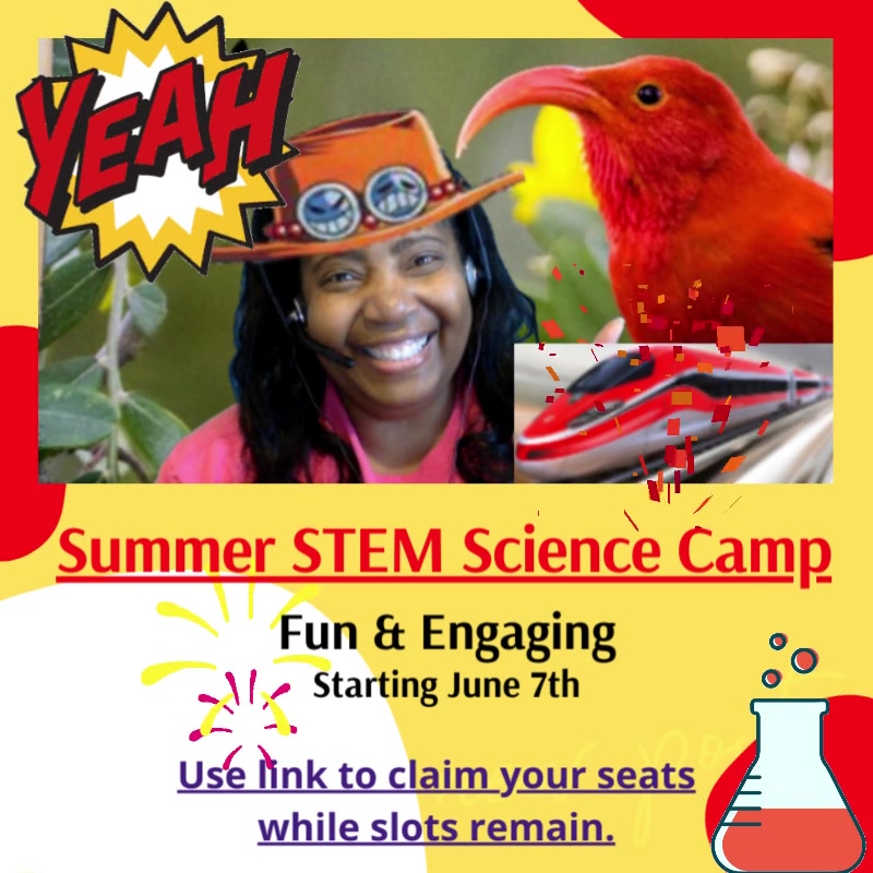 Recommended Outschool Semester Science Courses for All Ages - Yearlong ...