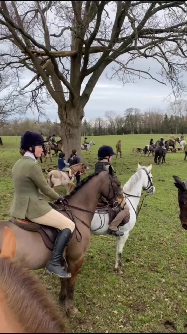 Children’s day today.. #wynnstayhunt #trailhunting #halftermtrails ...