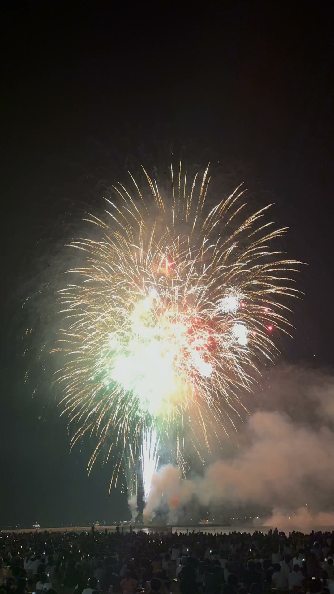 Fireworks fade quickly. 花火は冷えやすい烟花易冷！ | Aurora Reed