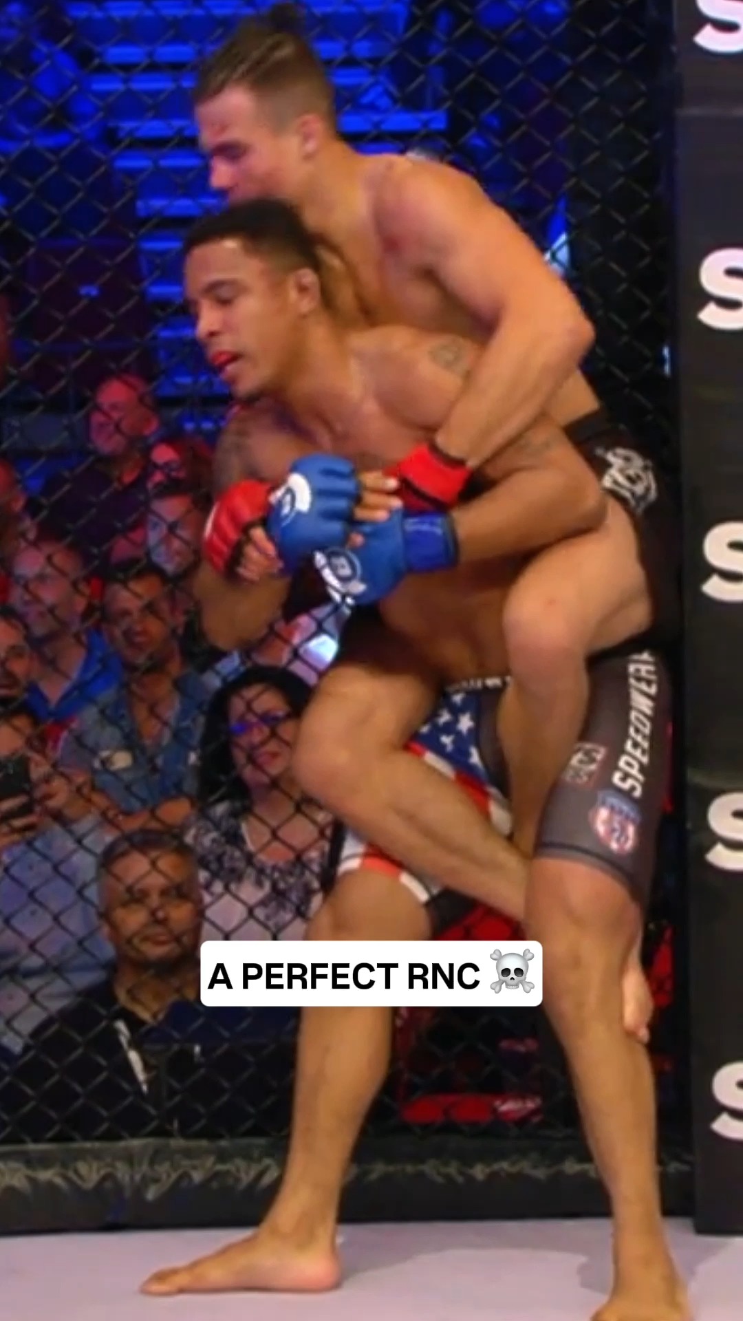 ま*ー様 BELLATOR MMA OFFICIAL BLUE GROVE / Bellator MMA (@BellatorMMA) • Facebook