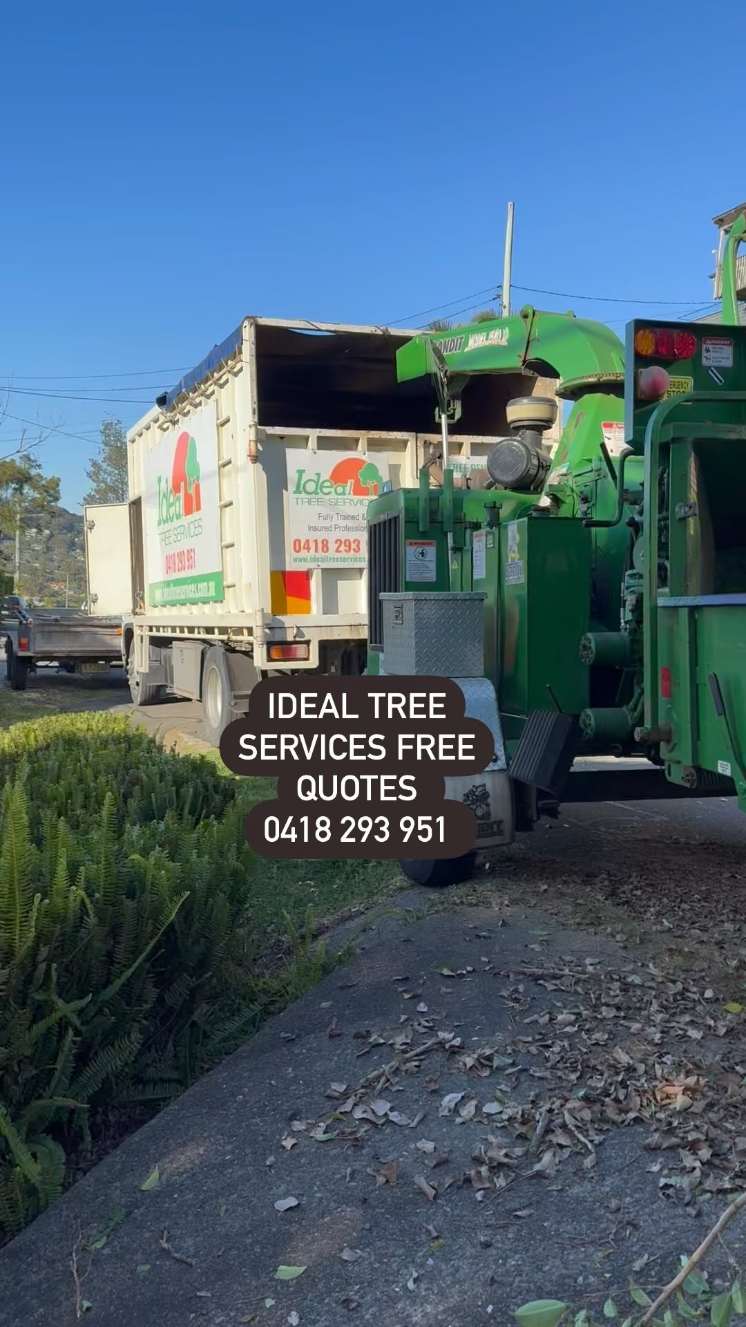 Ideal tree services 0418293951
