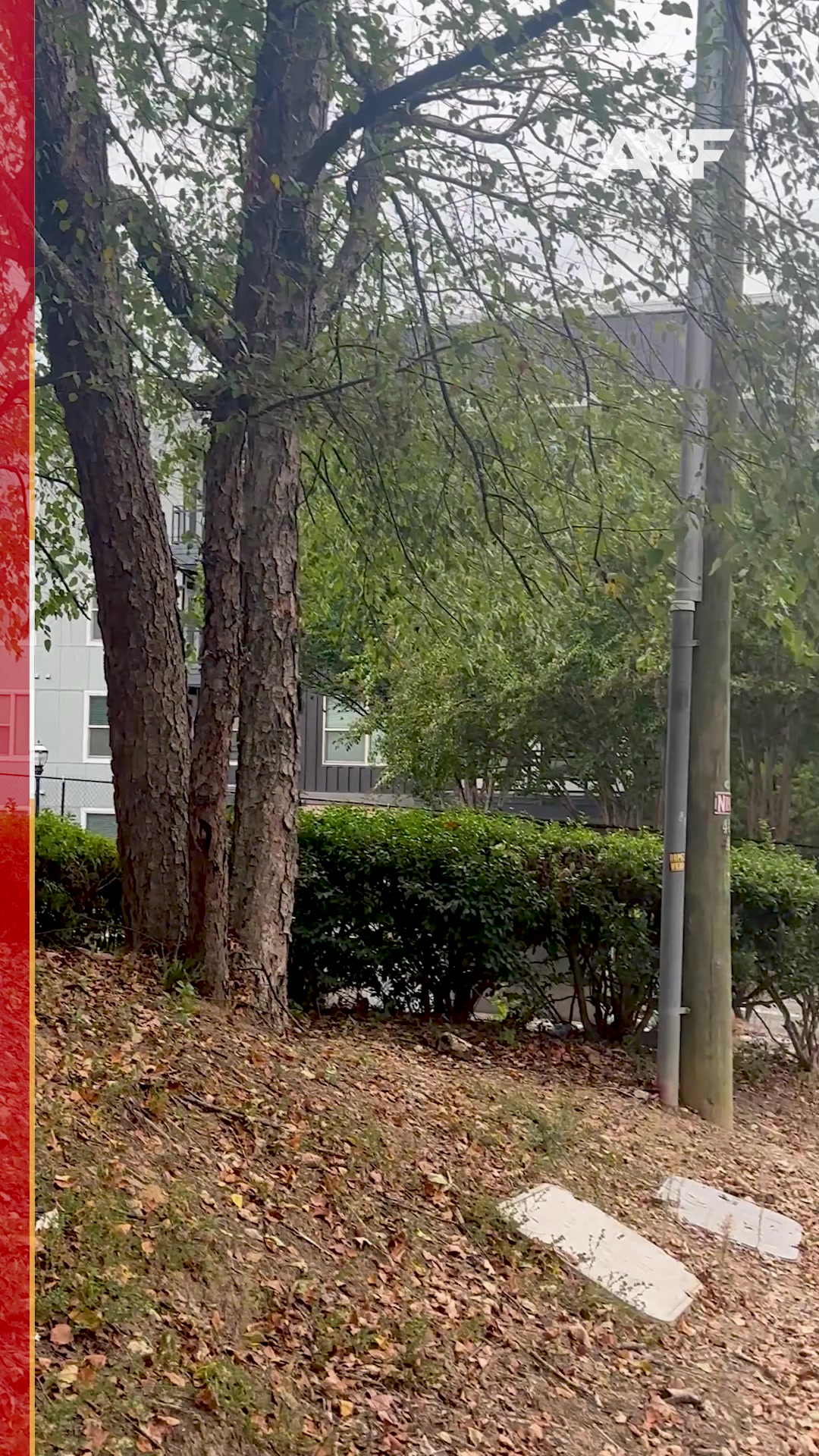 HOME INVASION: Dekalb County Police are searching for three suspects ...