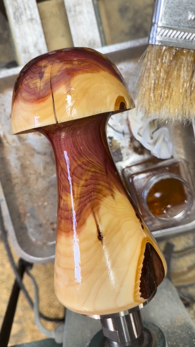 The Shroom is ready!! The mushroom finally dried out enough for a ...