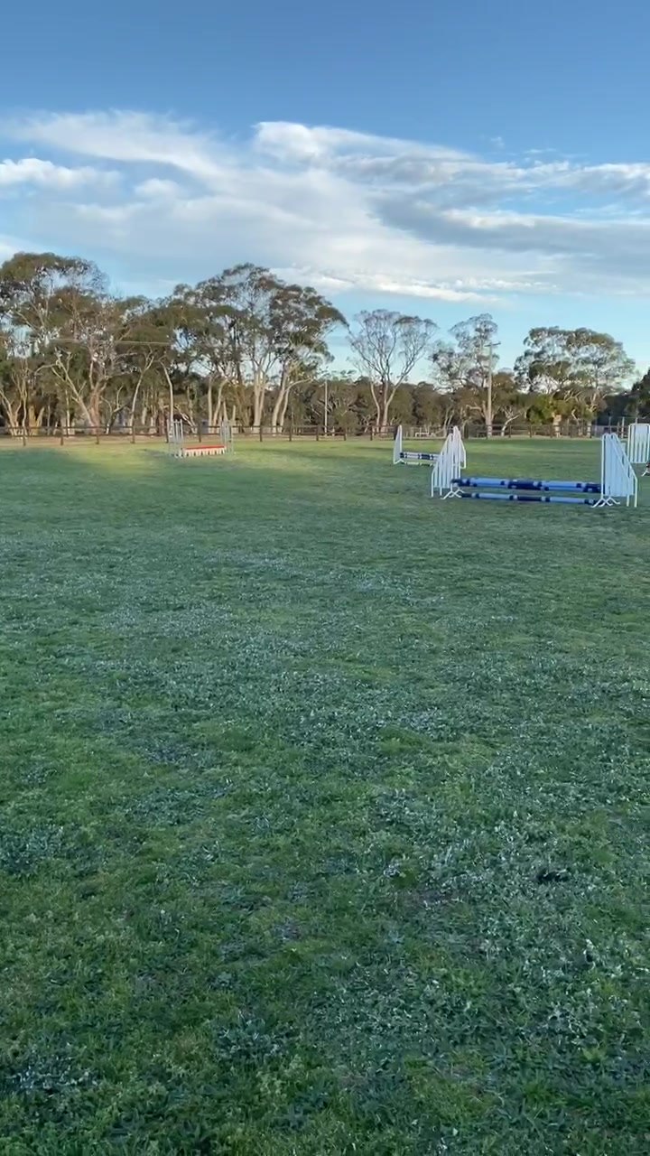 Bundanoon Pony Club - Home