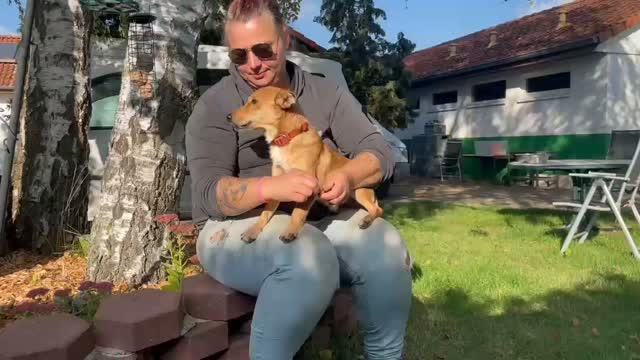 Poco möchte sich einmal vorstellen! 😇👋, Der kleine Mann, hatte nicht so einen leichten Start im Leben. Zerbissen und schwer verletzt, indem Menschen ihm die Ohren abgeschnitten haben, wurde er auf den