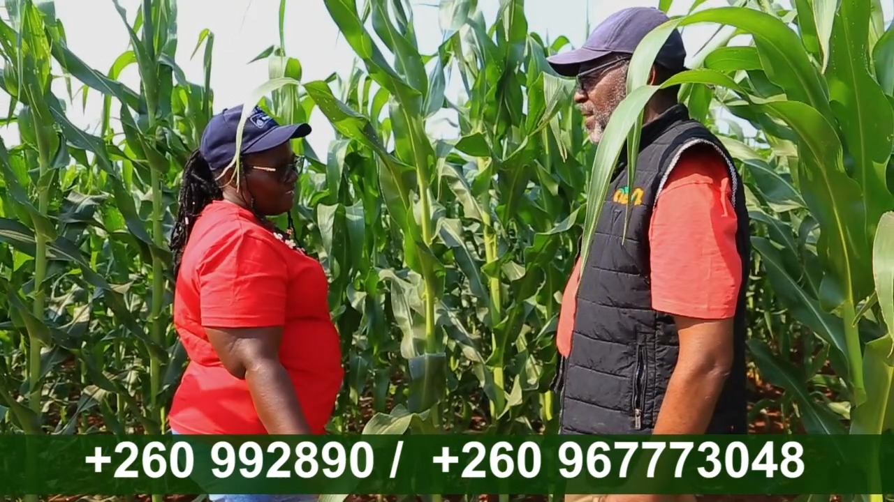 CHAFO Fertilizers