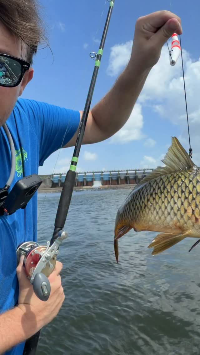 evenflo revolve 360 canada Shimano Reel Model:20 - 6.2:1 Stik Bigwater Spinning Shakespeare tensioning system and Tether360 Trek Marlin
