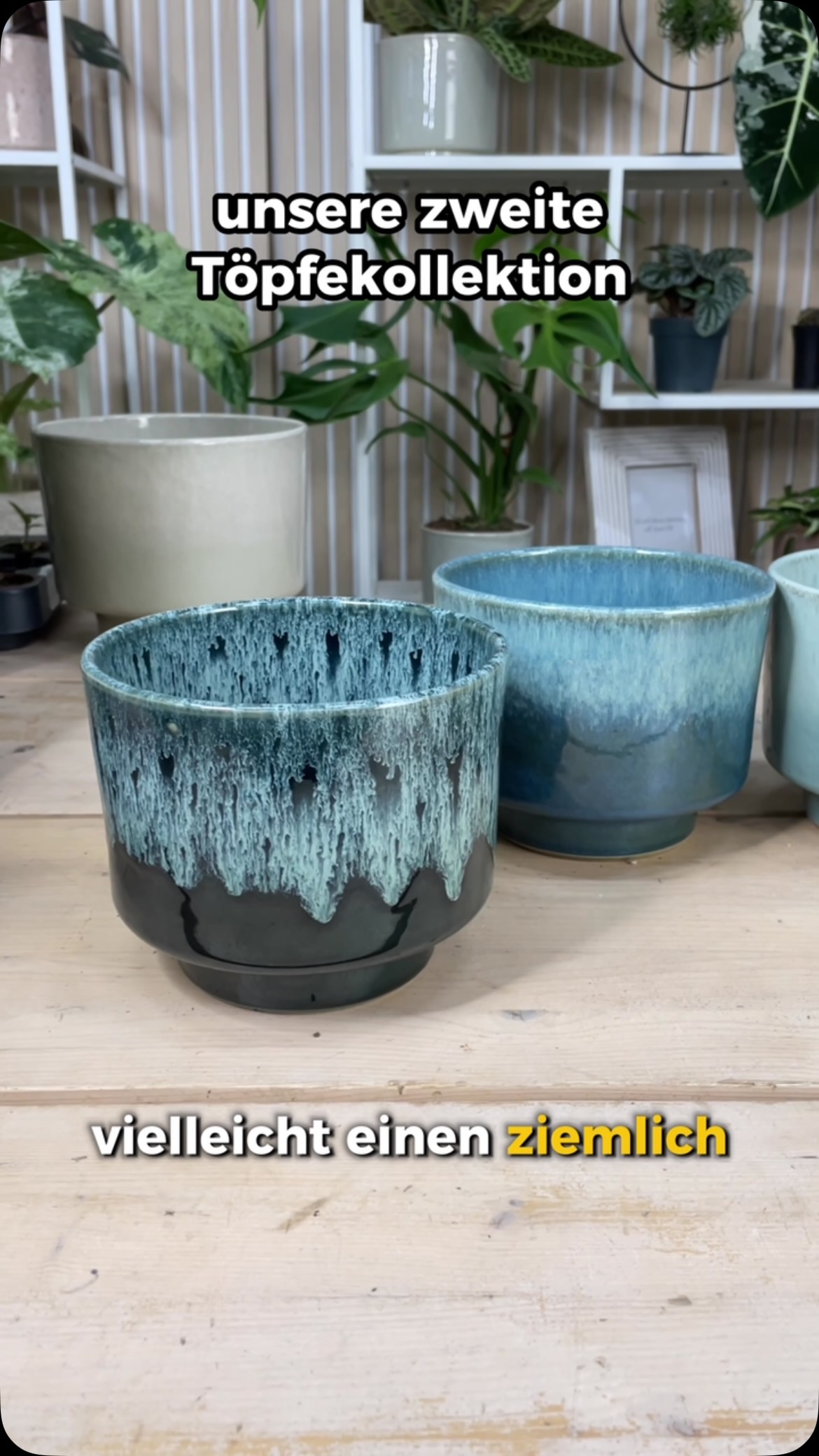 Welcher Topf gefällt dir am besten💚😊 #foliagedreams #pflanzentiktok #planttiktok , #planttips | Foliage Dreams