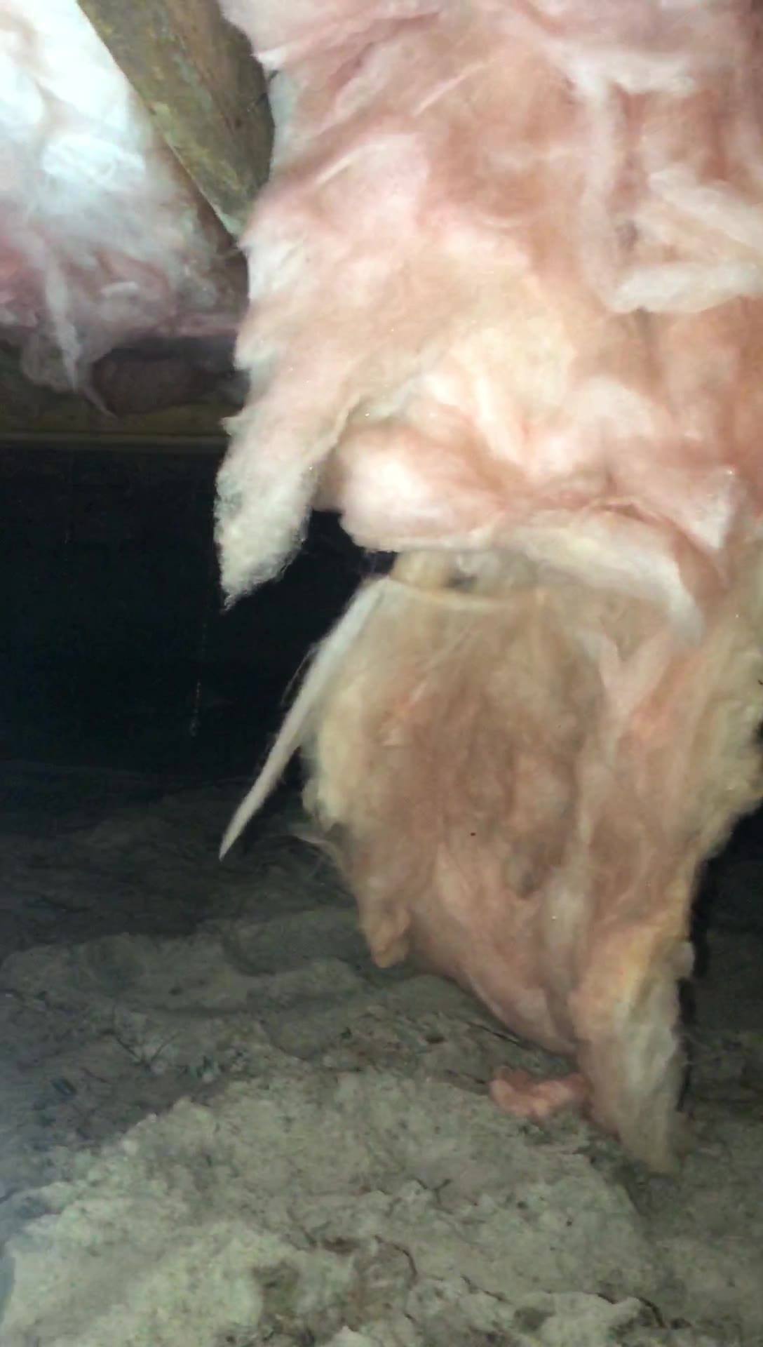 Cape Fear Rooter, Inc. | Leland NC