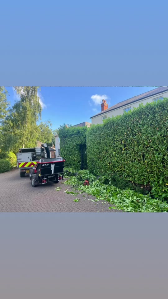 Clean Cut Tree Services