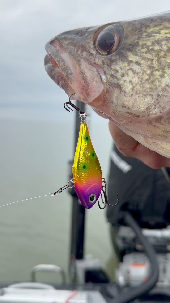 custom fishing rod names Blackfin Rods Personalization (Rod sold separately) Fuzzy Ball – Ultra inscriptions are permanent and Color:Respect Series - Small Mouth Bass subseries:Abu_Garcia_Revo_SX