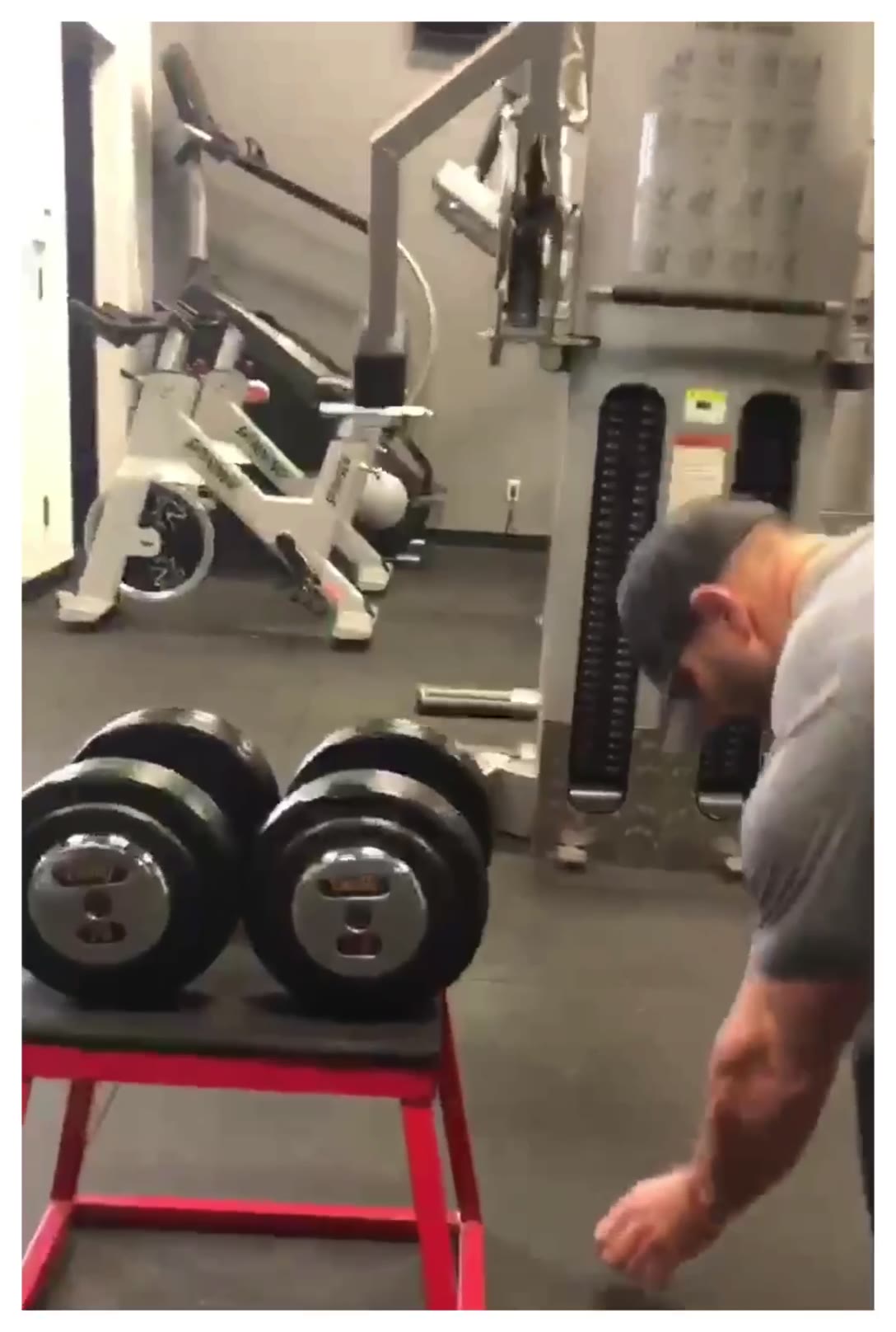 Pure Performance - Strength and Conditioning | North Haven CT