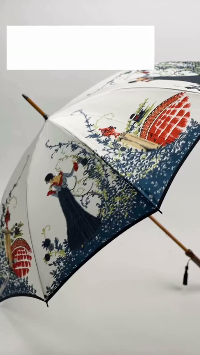 ⛱️26春夏新作長日傘(トレビ/クレマチス) レース専門店である近沢