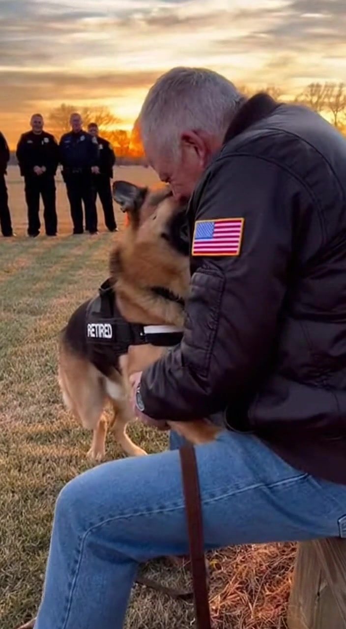 The retired K9 refused to walk the final line. He planted his paws ...