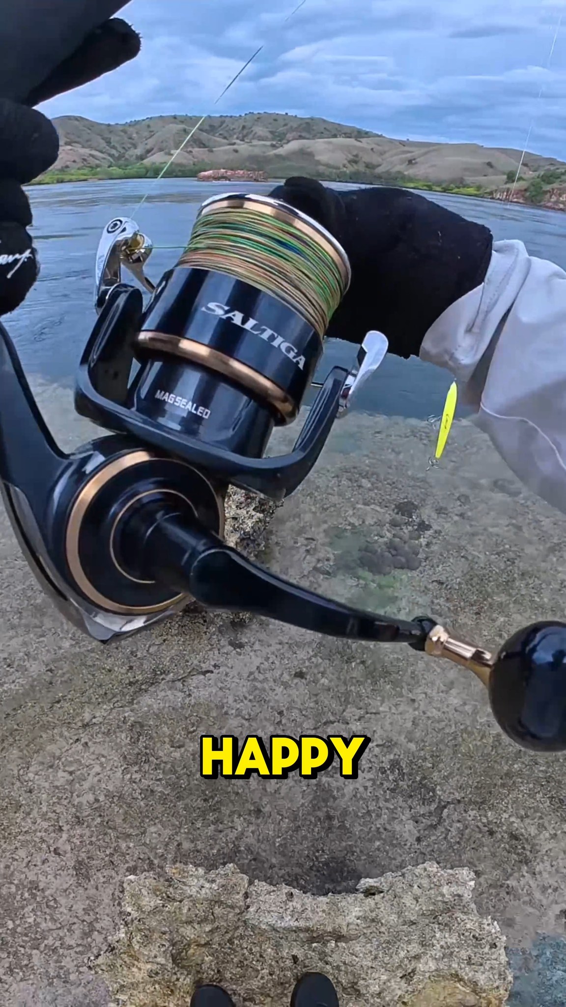 big rapala fishing lures 29