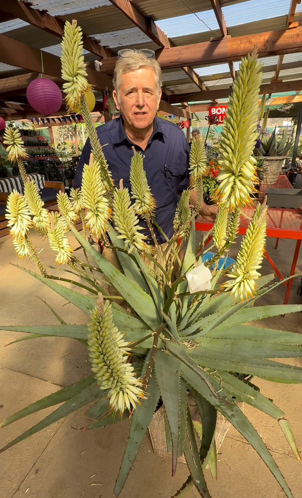 Join us for a horticultural autopsy on our garden specimen of