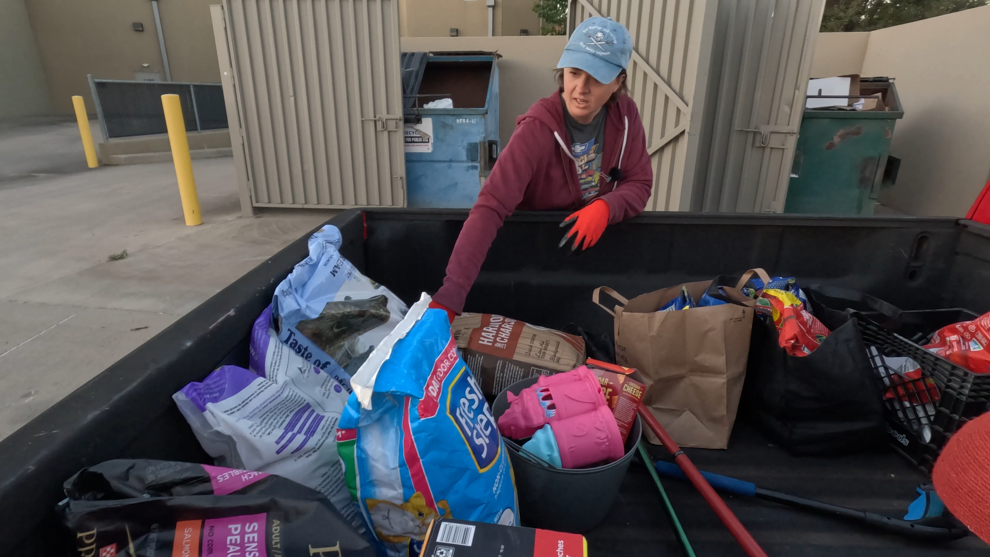 Illustration of Dumpster Diving For Dog Treats