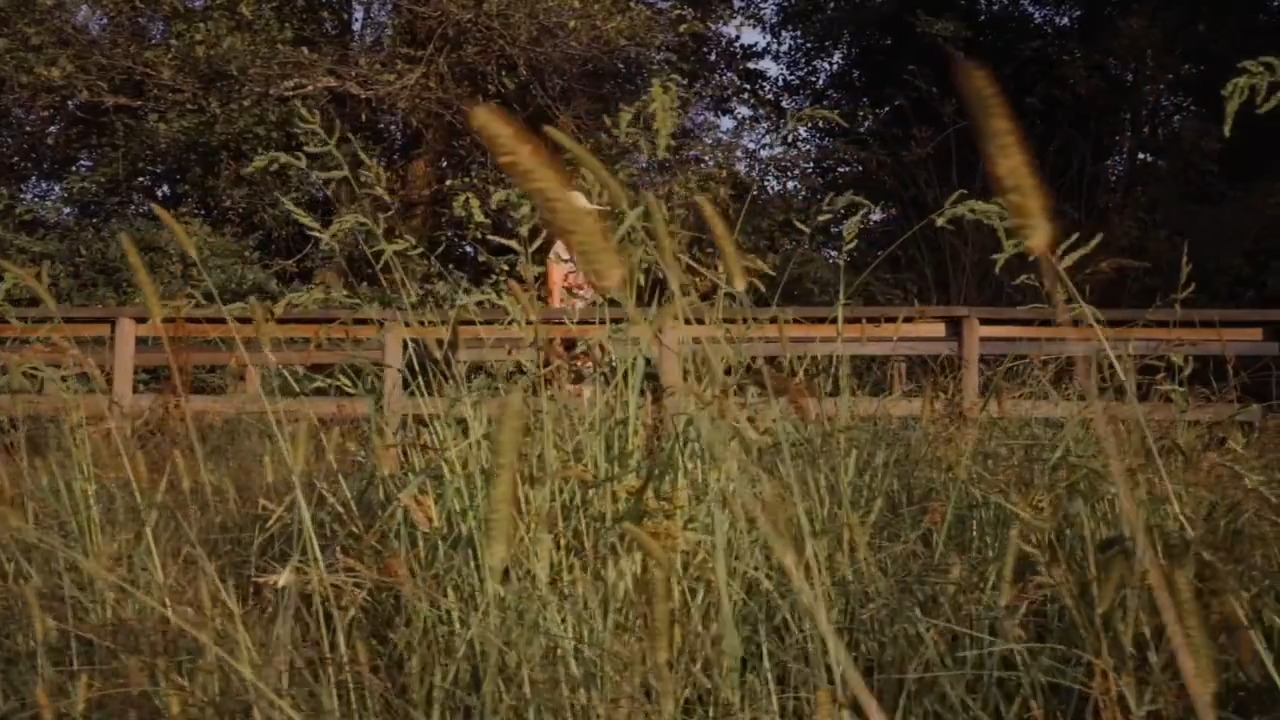 Neste Dia Mundial do Ambiente, fica a sugestão: Parque das Ribeiras do ...