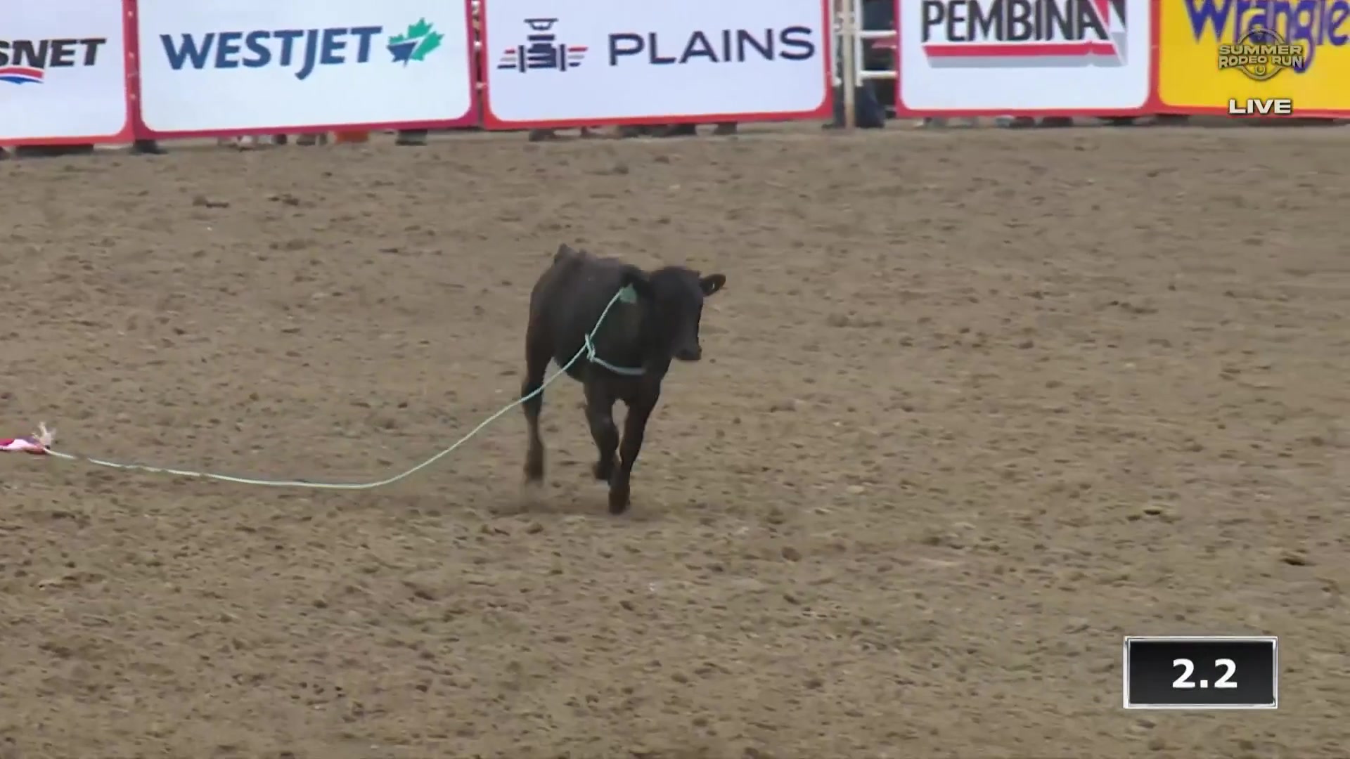 Hali Williams is one step closer to becoming the first-ever Calgary ...