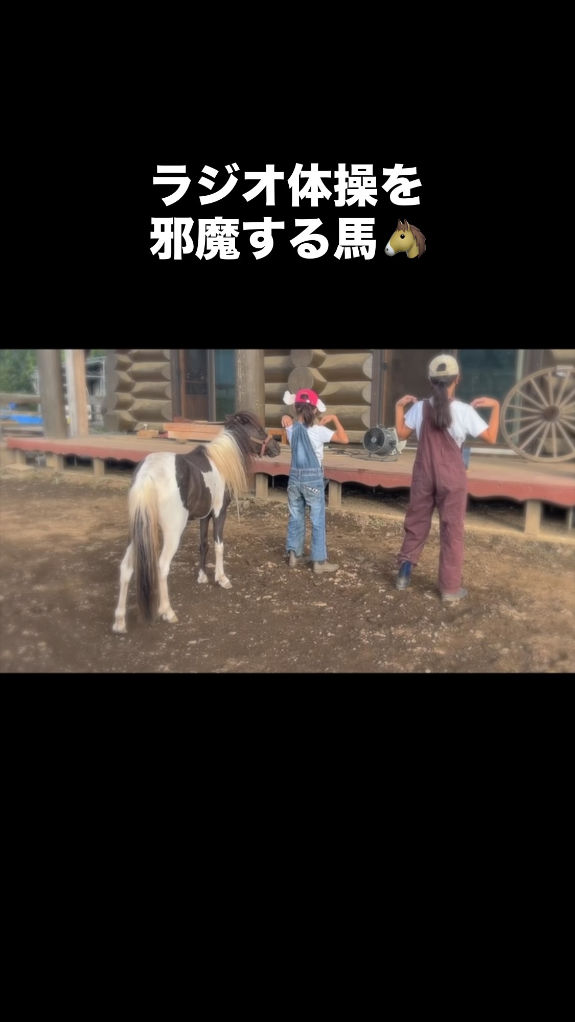 Rock Stream Farm