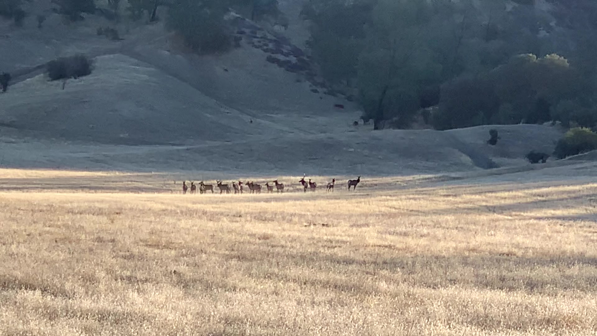 The Baumgartner Ranch | Paicines CA