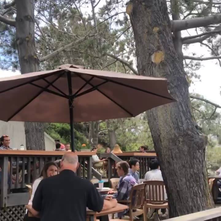 Pinpoint Cafe Village - Home