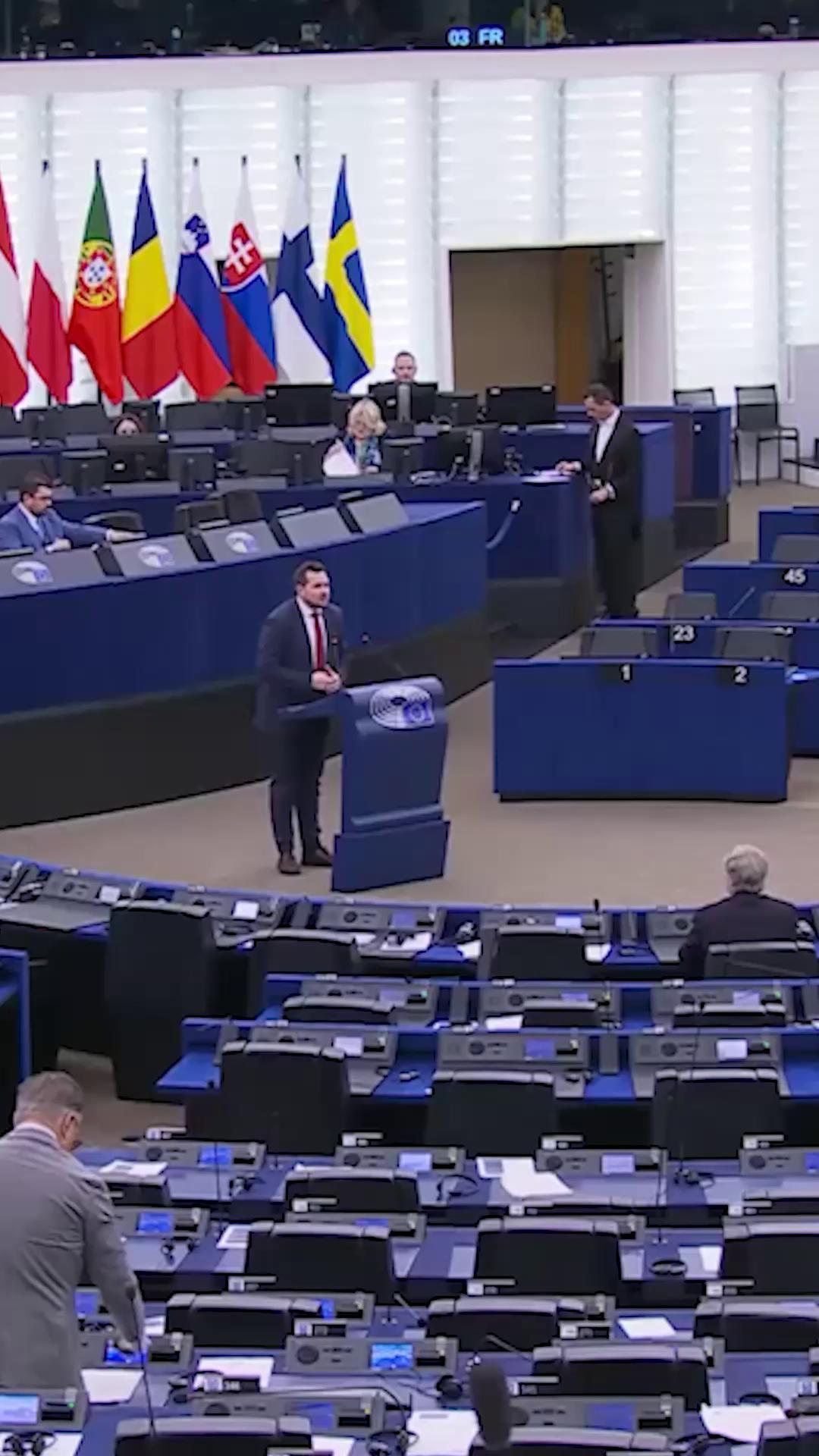 A Danish member of the European Parliament stunned colleagues after ...