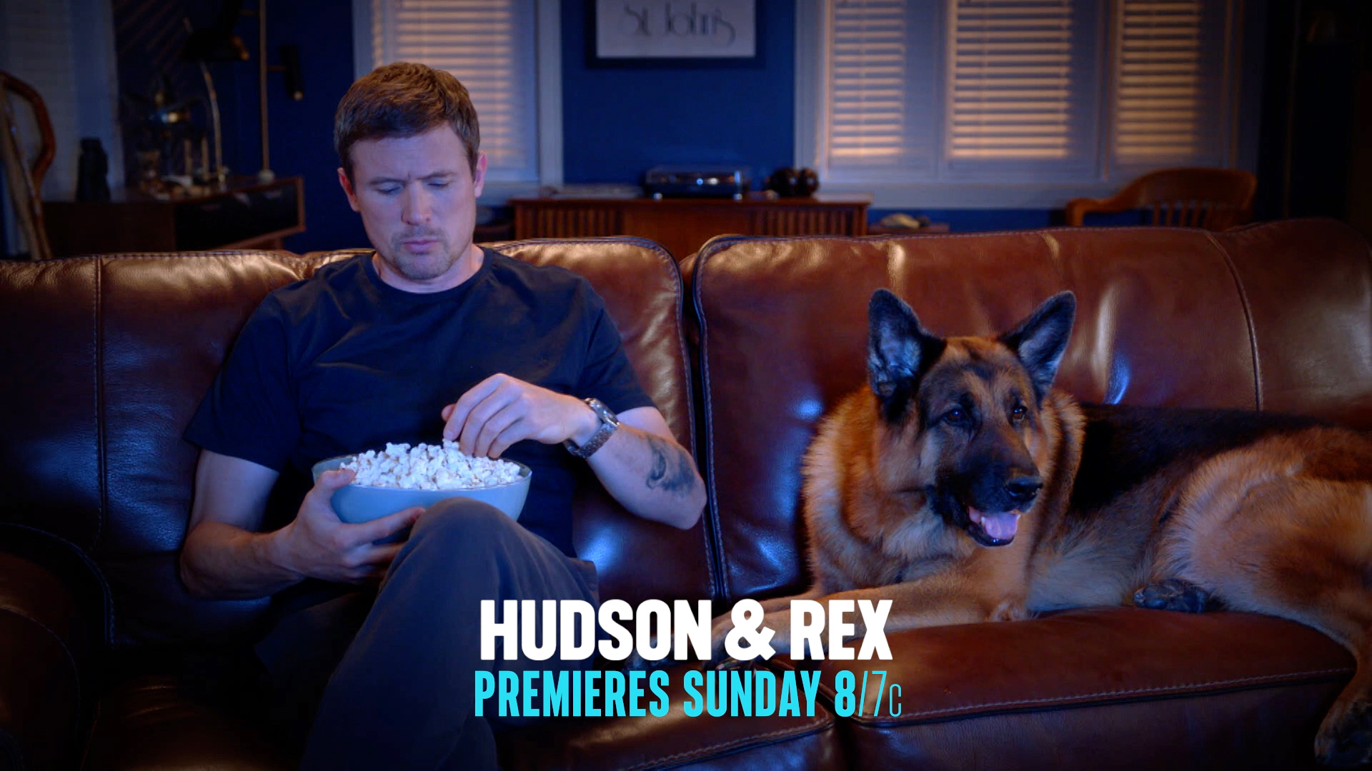 They're Back 🐾 | Hudson & Rex on Citytv | Facebook