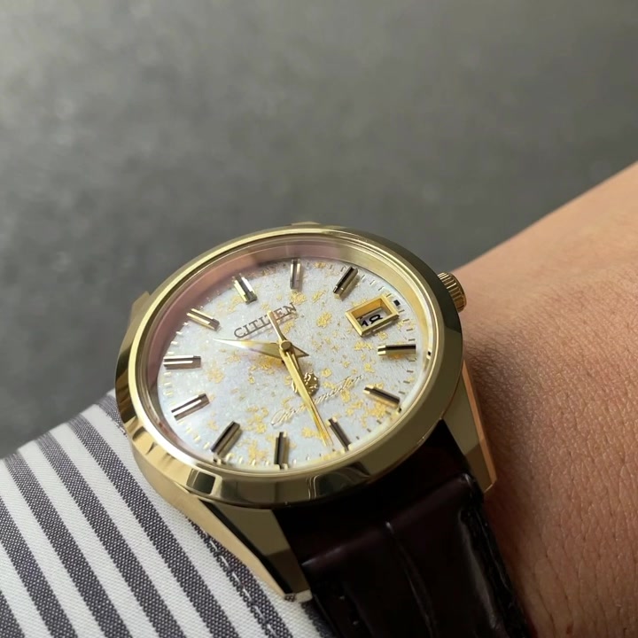 The CITIZEN ザ・シチズン 25周年モデル 限定500本 AQ4042-01P 2020年