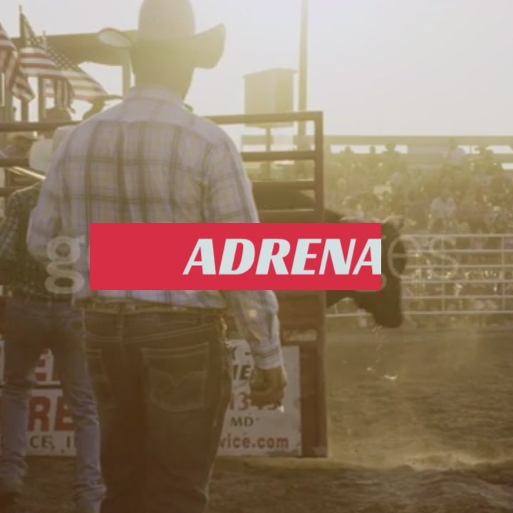 Rodeo Co.
