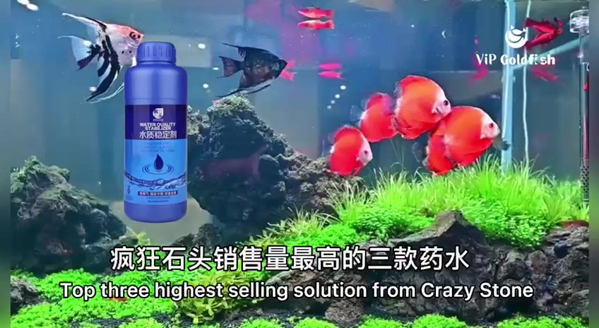 Sky Aquarium Home Facebook