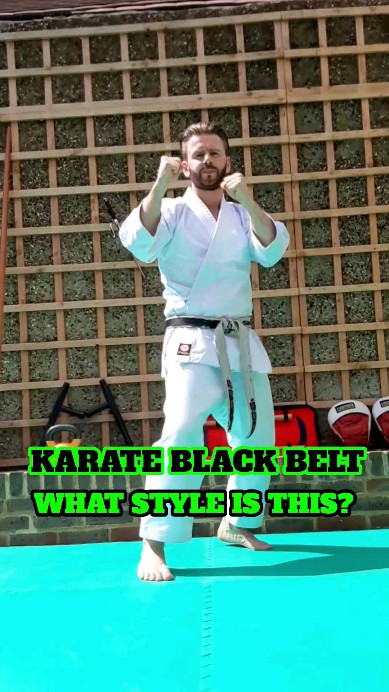 Karate Training - Basics (Kihon) #karate #punch #kick #block #stance # ...
