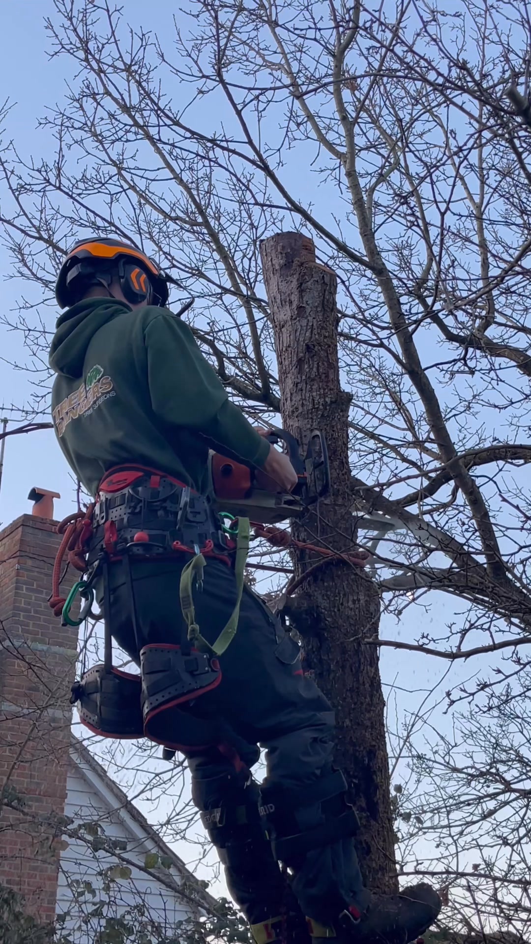 Tree Rangers Arborists & Tree Surgeons !! Chogging 🪵logging down ...