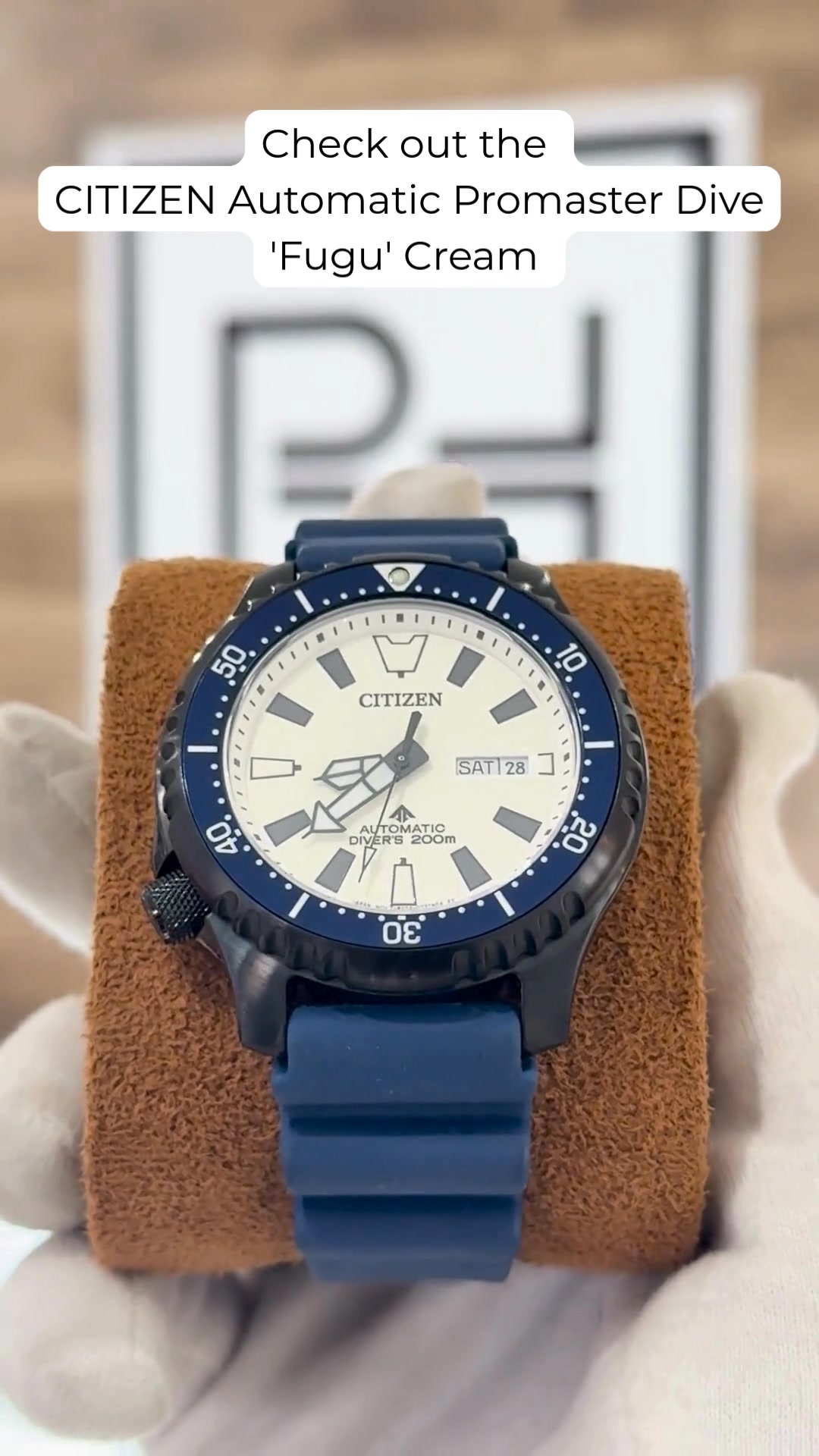Citizen Promaster NY0040 vs Fugu black bezel dive watches